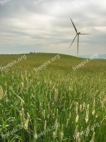 Nature Windmill S Field Pool