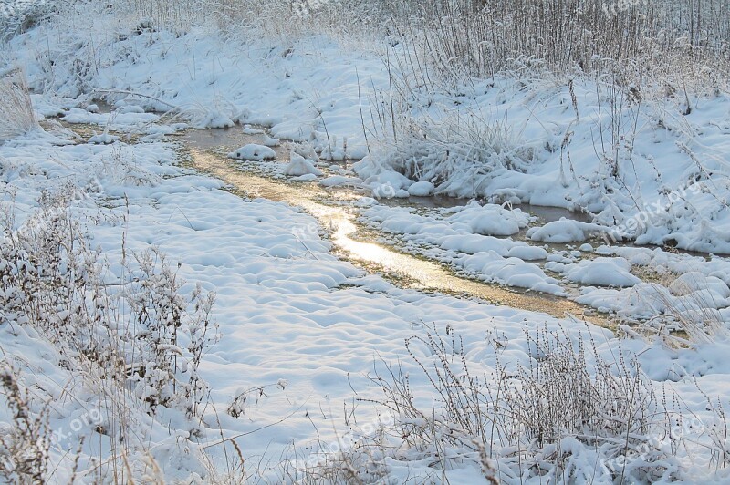 Winter Thaw Winter Landscape Snow Winter Forest