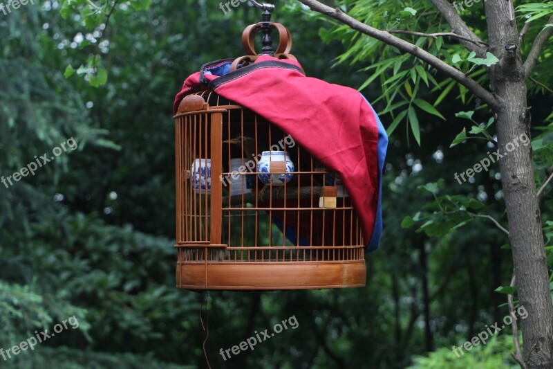 Birdcage Bird Cage Free Photos