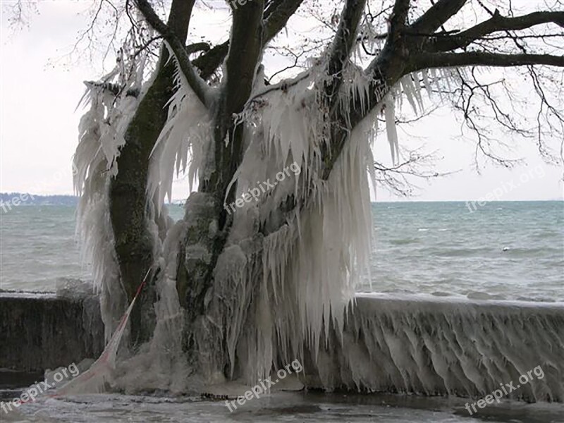 Cold Snow Winter Ice Landscapes