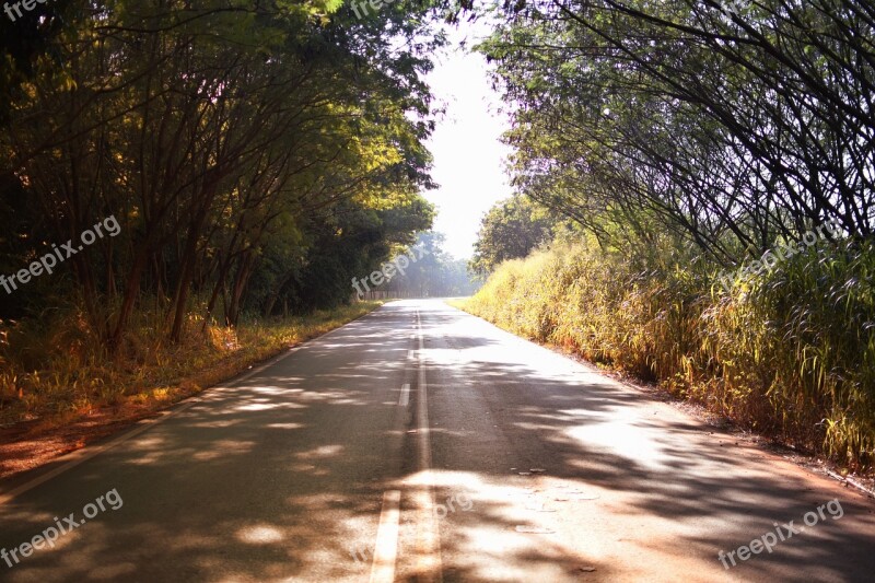 Path Asphalt Lane Highway Nature