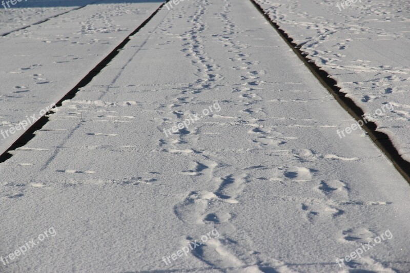 Tram Tracks Track Rotterdam Snow Free Photos