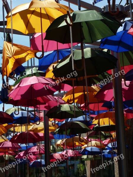 Screen Umbrella Colorful Shade Tree Protection