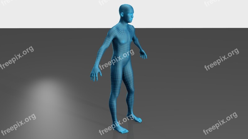 Man Figure Body Net Free Photos