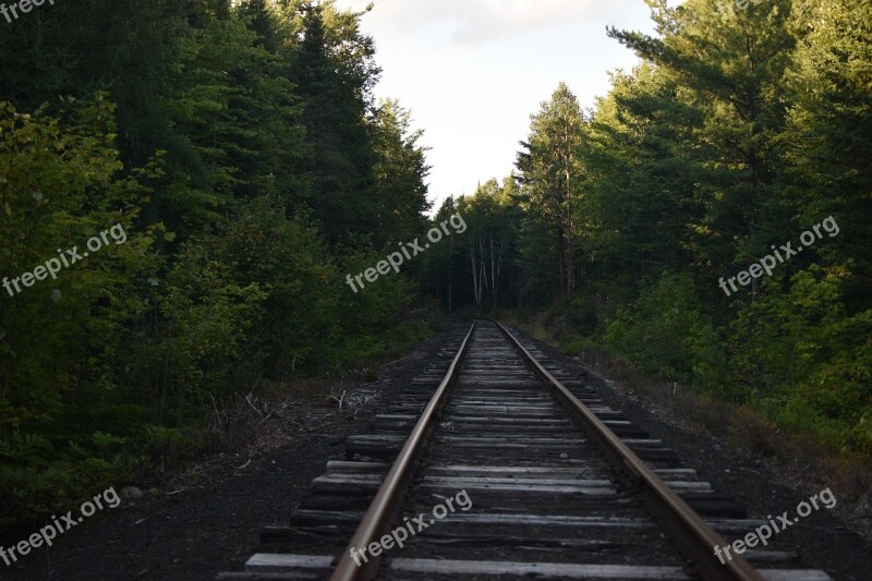 Railroad Train Tracks Tracks Woods Adirondacks