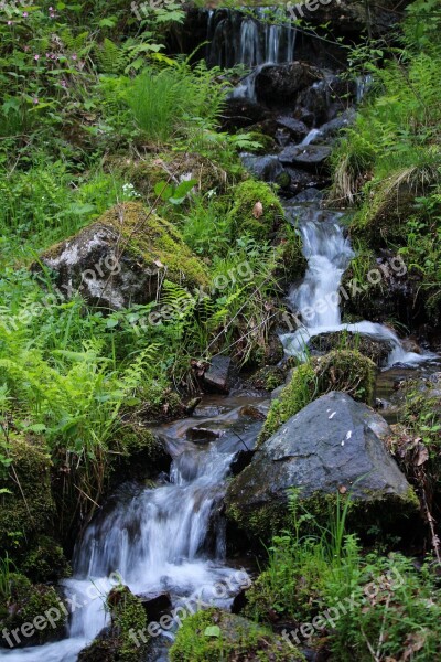 Nature Waterfall The Beauty Of Nature Free Photos