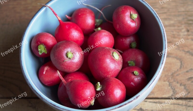 Radishes Radix Raphanus Red Pink