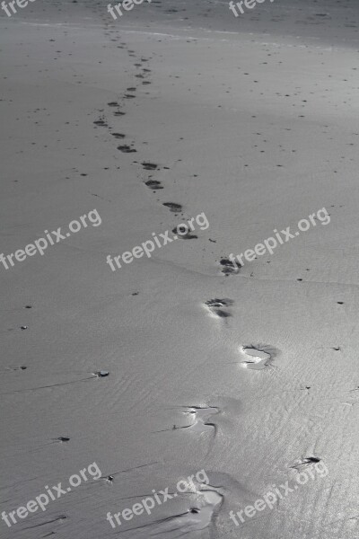 Sand Beach Footprints Footsteps Free Photos