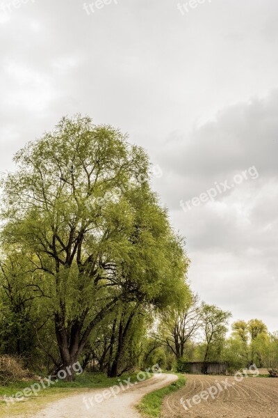 Nature Away Trees Landscape Summer