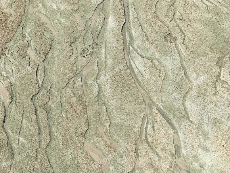 Sand Branches Tendrils Algae Great Salt Lake