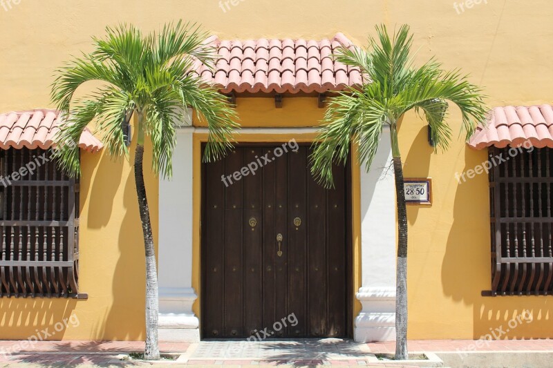 Door Palma Palm Tree Colombia Bolivar