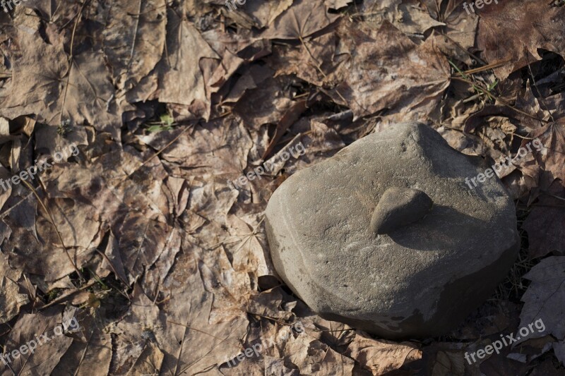 Zen Love Rocks Thaw Dead Leaves