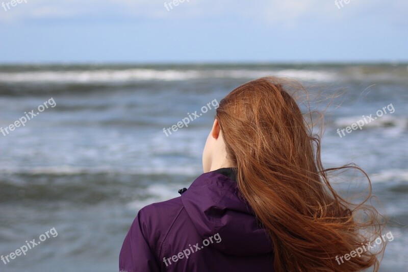 Sea Wind The Waves The Coast Water