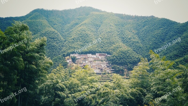 Wood Pit Bamboo Spring Free Photos