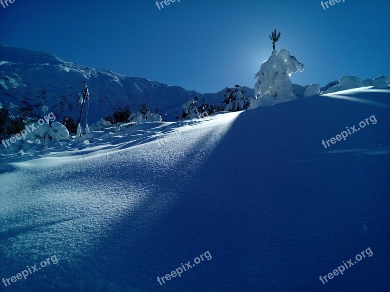 Snow Nature Cold Mountain Trees