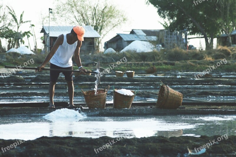 Salt Farm Hard Work Salt Farm White