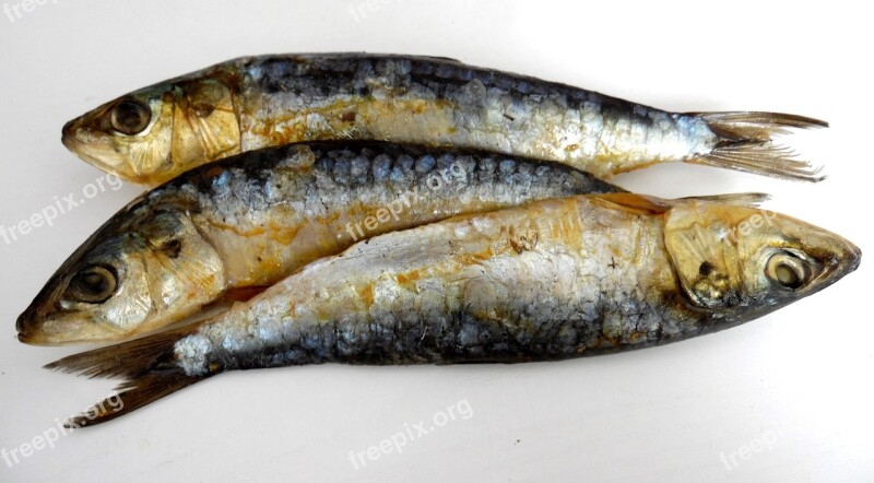 Sardines Smoked Food Herring Appetizer