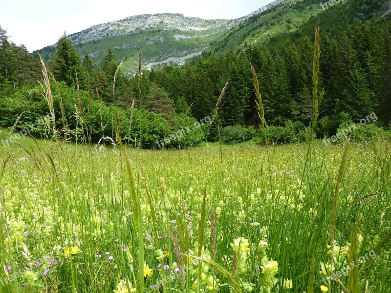 Vercors Prairie Mountain Free Photos