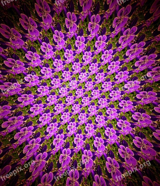 Flower Pattern Purple Floral Design