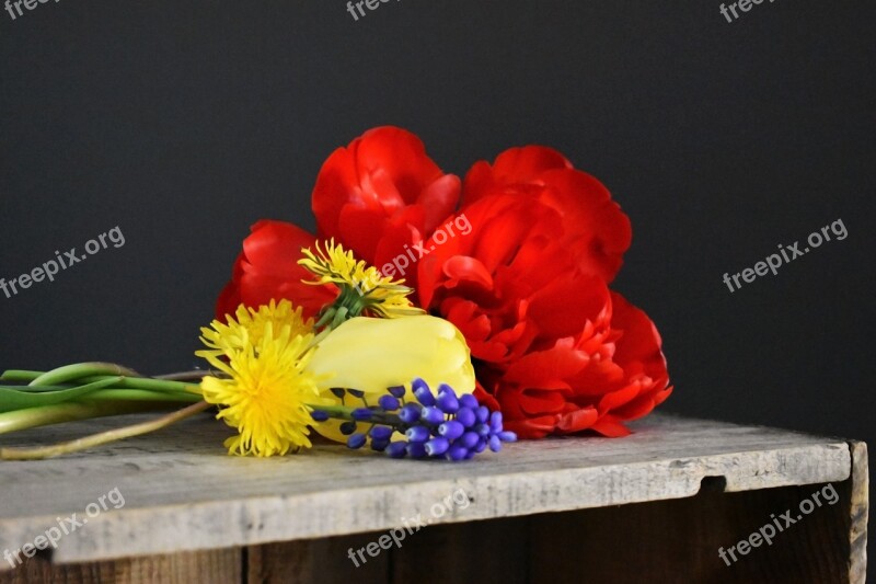 Flowers Tulips Bunch Of Flowers Wooden Crate Dandelions