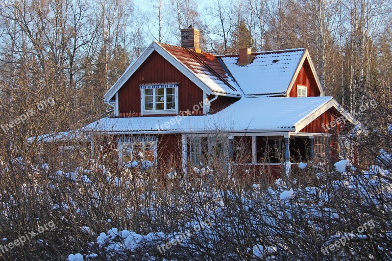 Snow Winter Cold Beautiful Red