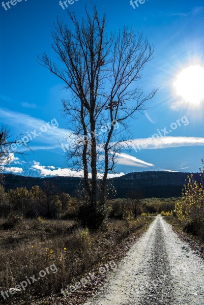 Villaverde Del Monte Soria People Oak Sun