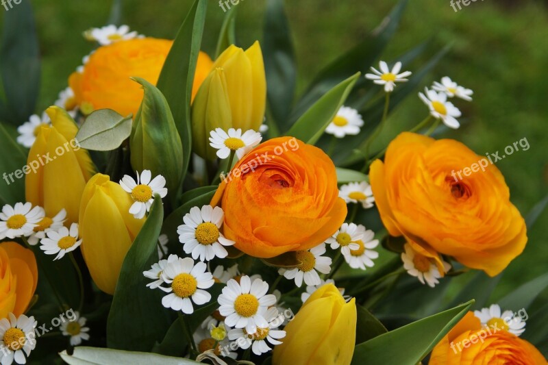 Flower Bouquet Asian Cock Foot Margarite Tulip