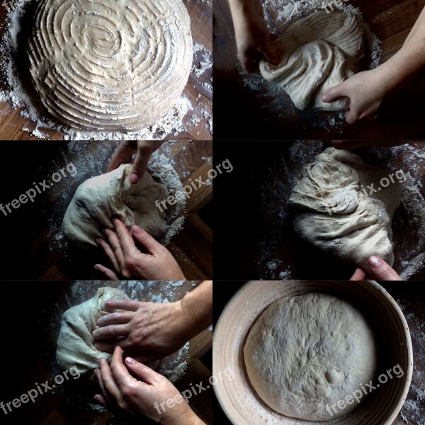 Baking Collage Sourdough Food Cooking