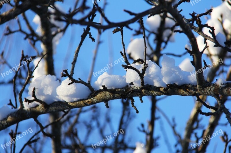 Snow Winter Cold Beautiful White