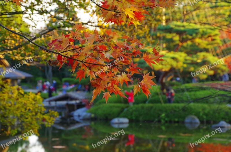 Early Autumn K Japanese Garden Japanese Style Free Photos