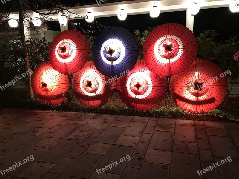 Light Art Kumamoto Japanese Umbrella Japan Japanese Umbrellas