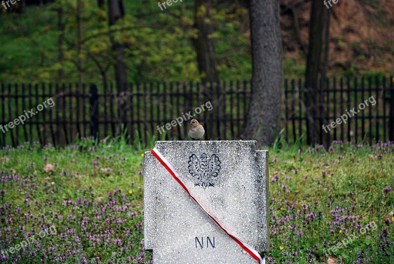 Cemetery Tombstone Poland Bird Memory