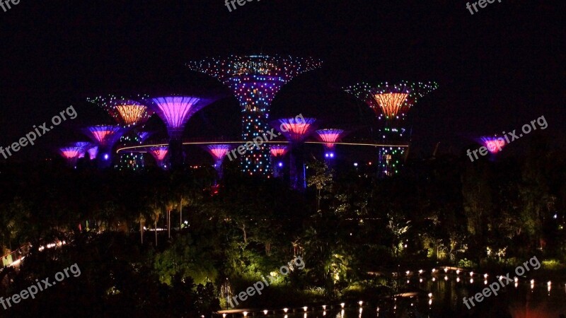 Singapore Marina Trees Free Photos