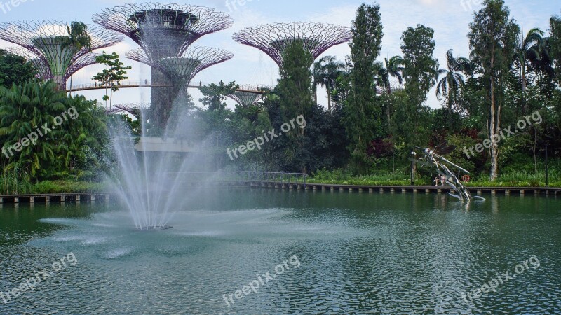 Singapore Gardens Trees Free Photos