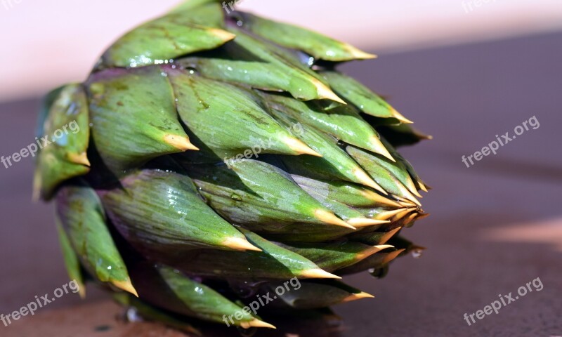 Artichoke Vegetables Food Green Healthy