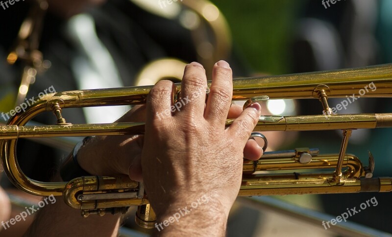 Musician Music Artist Trumpet Free Photos