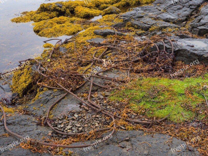 Seashore Rocks Wreck Coastline Boat