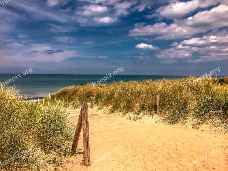 Baltic Sea Darß Ahrenshoop Reed Coast