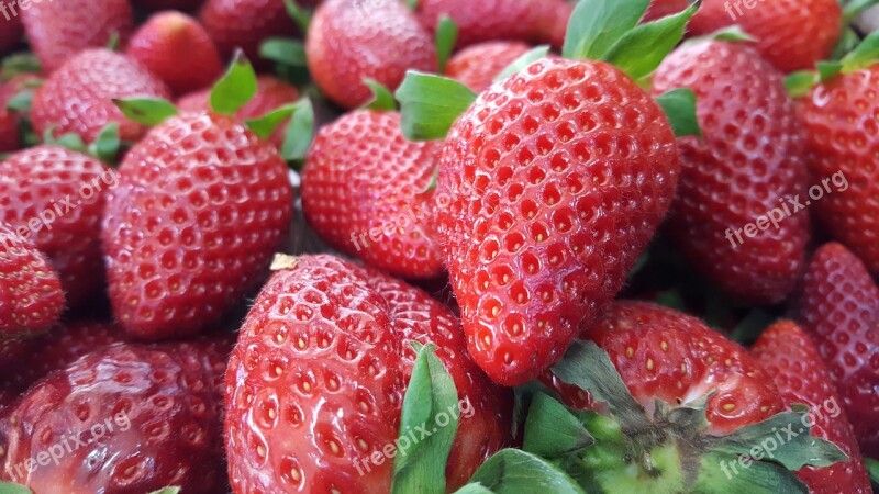 Strawberry Red Strawberry Fruit Free Photos