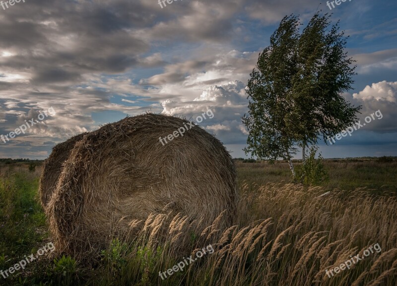 Landscape Rick Skirda Hay Summer