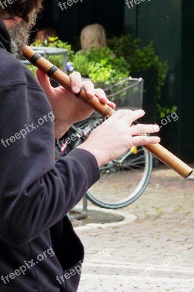 Flute Flute Game Flautist Music Art