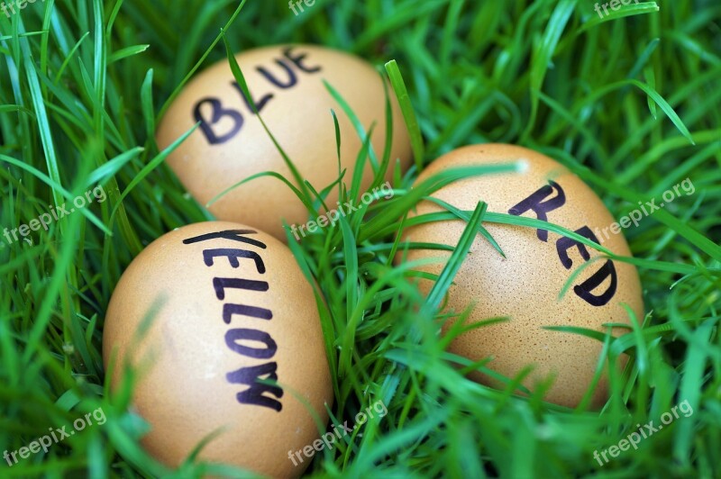 Easter Eggs Easter Eggs Joke Color Eggs