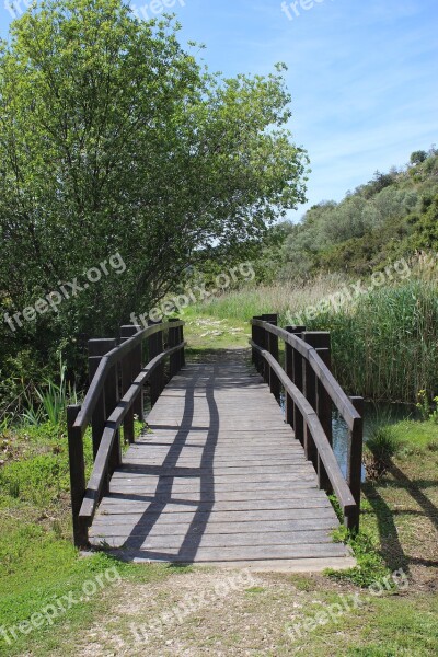 Bridge River Landscape Water Marshes