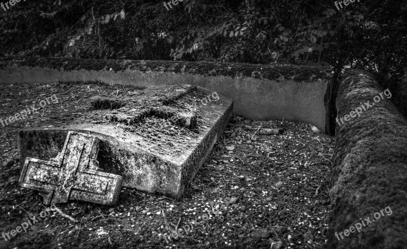 Graveyard Graves Tree Spooky Night