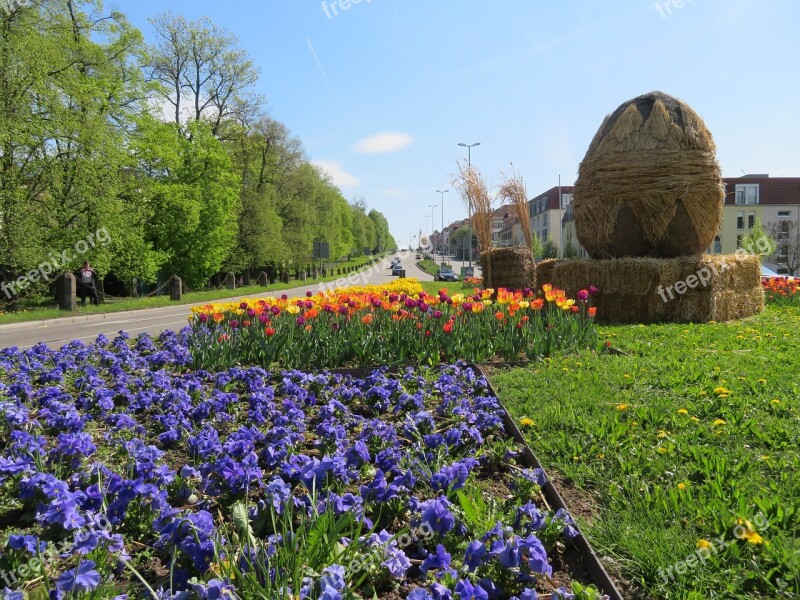 Easter Easter Egg Egg Ludwigsburg Germany Flowers