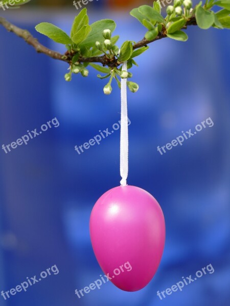 Easter Easter Egg Pink Egg Spring