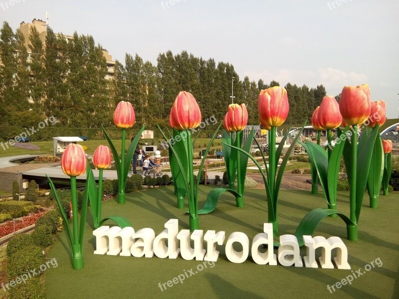 Madurodam Amsterdam Netherlands Free Photos