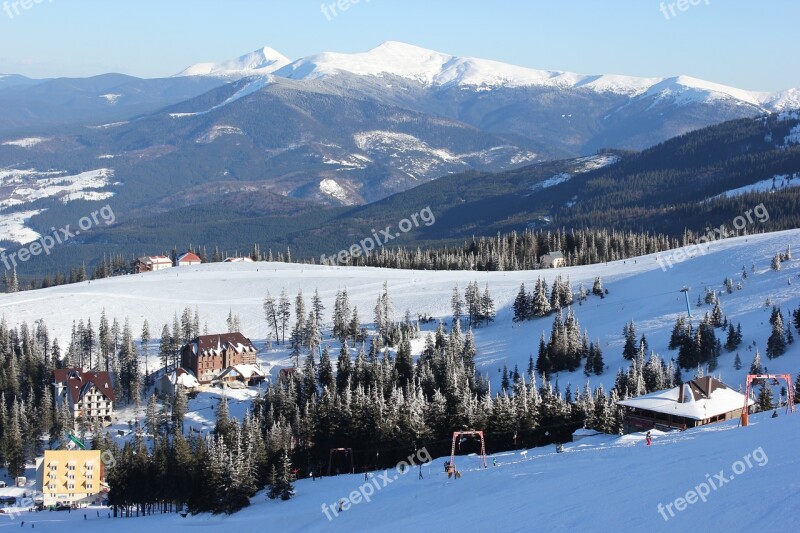 Winter Mountains Ski Resort Forest Snow