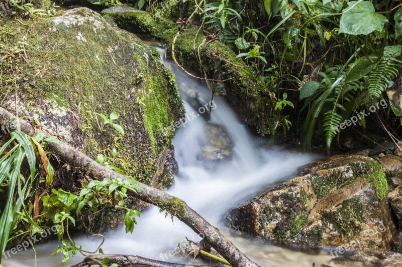 Water Brook Natural Water Nature Current