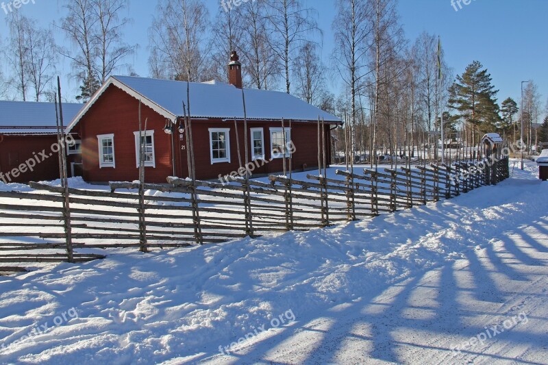 Snow Winter Cold Beautiful Red